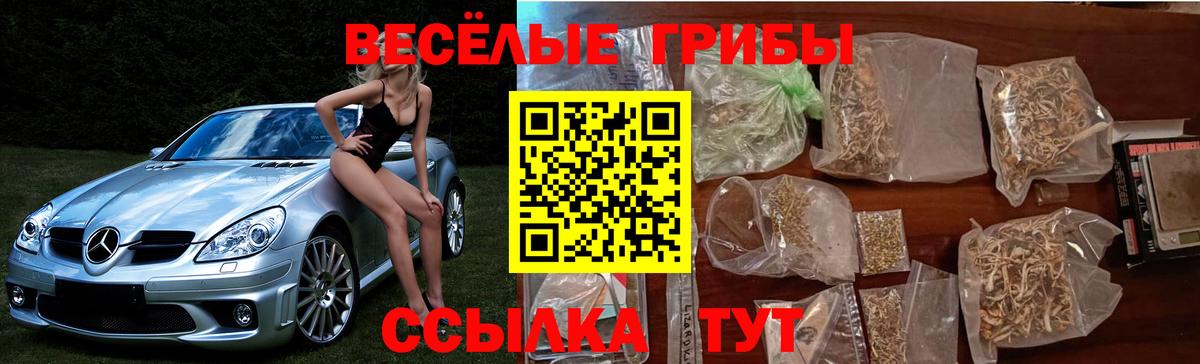 Конопля Дербент