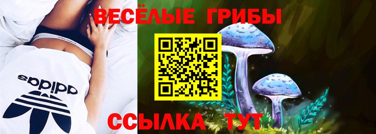 Галлюциногенные грибы ЛСД Дербент