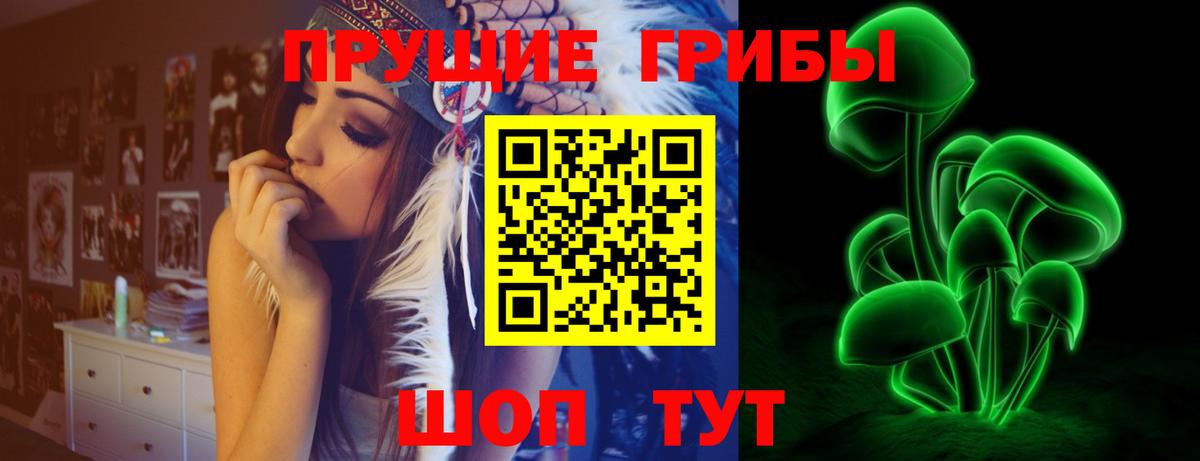Дербент  Псилоцибиновые грибы GOLDEN TEACHER  Вход с VPN 